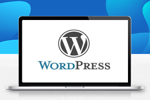 BT宝塔面板安装Redis缓存加速WordPress打开速度-久久鱼塘