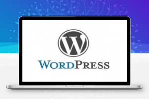 WordPress站点增加AMP移动端加速并主动推送到百度
